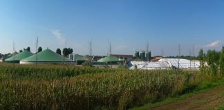 Biogasanlagen für den Klimawandel